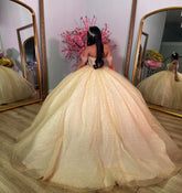 Off-Shoulder Beaded Tulle Ball Gown Princess Quinceanera & Sweet 16 Party Dress